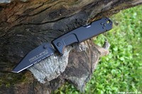 Fulcrum II 1.jpg